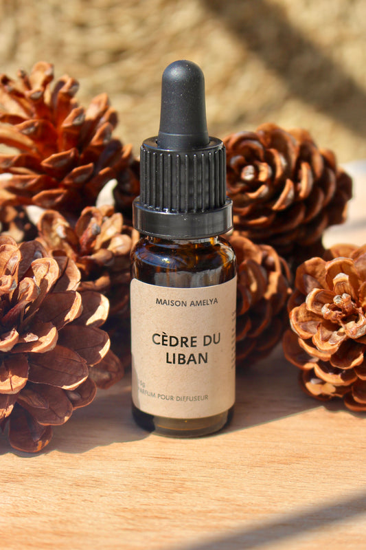 Cèdre du Liban