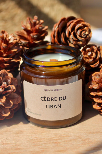 Cèdre du Liban