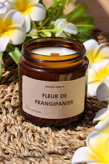 Fleur de frangipanier